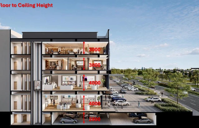 Type B — Standard — Section