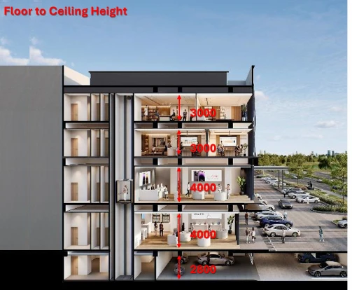 Type C — Standard — Section
