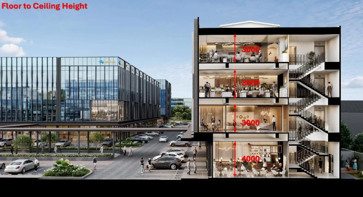 Type D — Standard — Section